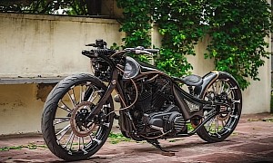 Harley-Davidson Iron 883 Takes Six Months to Turn Into This Thing Here