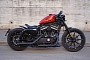 Harley-Davidson Iron Red Grows a Giant Red Mole on Its Back. No, Wait, That’s the Tank