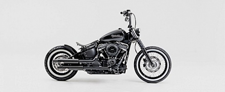 Harley-Davidson Lonely Rider