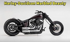 Harley-Davidson Marbled Beauty Plays the Subtle Terminator Card And It Works