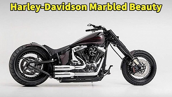 Harley-Davidson Marbled Beauty