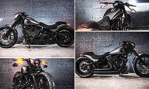 Harley-Davidson “Metal Flake” Is a French-Twisted Breakout With a Touch of Custom