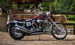 Harley-Davidson Pauki Is How Mysterious Shovelheads of Old Roll