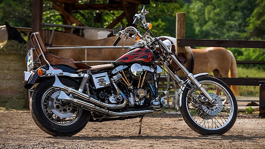 Harley-Davidson Pauki