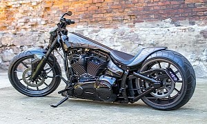 Harley-Davidson Raptor Lives Up to the Name, Looks Wild