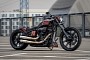 Harley-Davidson Razor 4.0 Is How Nature Intended Breakouts, Expensive and Mean