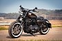 Harley-Davidson Rusty Rose Plays the Bobber Card, Drops the Chrome