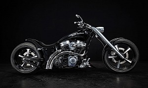 Harley-Davidson Sally Is the Perfect Shape of Metal