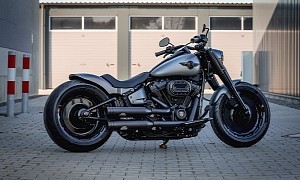 Harley-Davidson Silver Club Is a More Impressive Brother to Dark Dozer