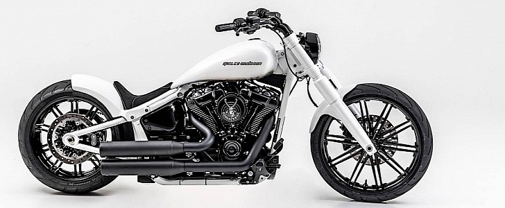 Harley-Davidson Snowflake