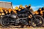 Harley-Davidson Sportster Bobber Is Black All Over and Custom Where It Matters