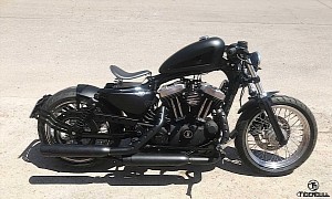 Harley-Davidson Sportster Is So Custom It Looks Kind of Weird