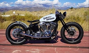 Harley-Davidson Springer Bobber Blue Is How Retro-Styled Beauty Looks Like
