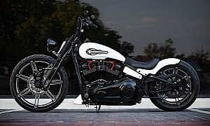 Harley-Davidson Street Bob Springer Has Nothing to Do With the Space Shuttle