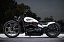 Harley-Davidson Street Bob Springer Has Nothing to Do With the Space Shuttle