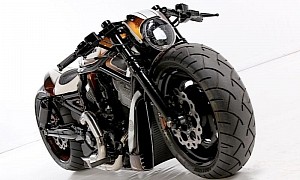 Harley-Davidson V-Rod Killer Bee Is Compact and Mean Like an Africanized Insect