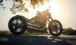 Harley-Davidson Viking Punch Has the Body of One Softail and the Face of Another