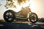 Harley-Davidson Viking Punch Has the Body of One Softail and the Face of Another