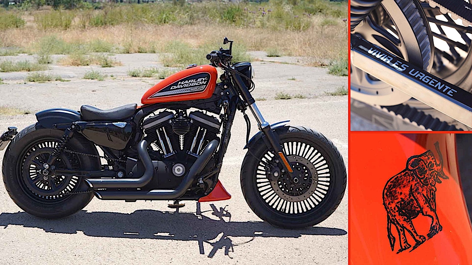 Harley-Davidson Vivir Is Custom Sportster With a Message and a