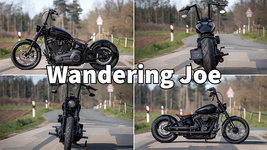Harley-Davidson Wandering Joe