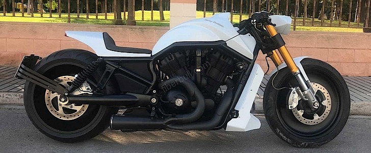 Harley-Davidson White Lion