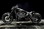 Harley-Davidson Wolf Stands Proud Like the Wild Beast, Not as Fierce