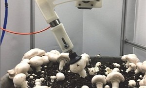 Harvesting Robot Gives a Hand to the Mushroom Industry in Pennsylvania