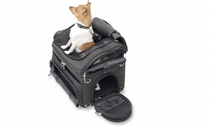 Have Your Small Pet Ride with You In the Convertible Pet Carrier