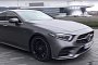Here's a 2019 Mercedes CLS-Class Walkaround from Shmee150