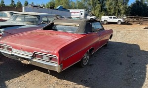 Here's a Mysterious 1967 Chevrolet Impala SS That's Just Rotting Away in Someone’s Yard
