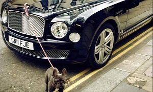 Here's How a Bentley Mulsanne Can Walk Your Dog