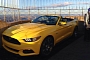 Here's the Mustang Atop the Empire State Building