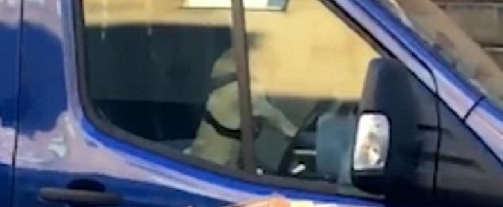 Frustrated pug honks the horn of his owner's truck in new viral video