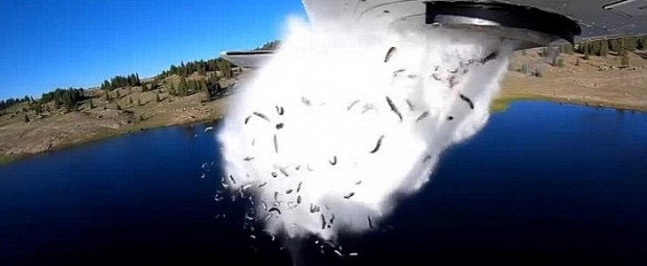 Fish blasted from a plane in Utah, to restock mountain lakes