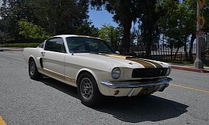 Hertz Rent-A-Racer 1966 Shelby Mustang GT350H Has Shelby’s Signature on It