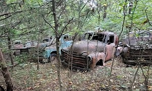 Hoard of Abandoned Chevrolet 3100 Trucks Discovered in the Woods, All for Sale