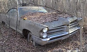 Hoard of Abandoned Classics Found in the Woods, Includes Chevy Trucks and Pontiacs