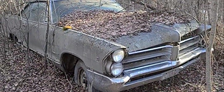 classic cars abandoned in the woods