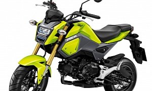 Honda Grom MSX125SF Looks Cool in This 5-Part Video Story