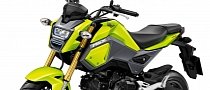 Honda Grom MSX125SF Looks Cool in This 5-Part Video Story