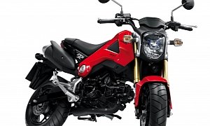 Honda Recalls Grom and NSS300 Over Fuel Pumps
