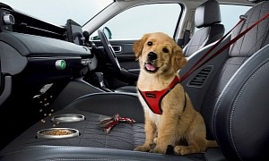 Honda Will Be the First to Launch a Range of Pet Co-Pilot Front Seats