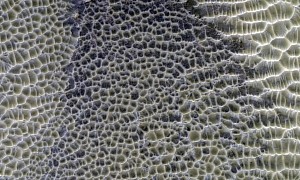 Honeycomb Martian Dunes Could Be a Clear Sign of... Water