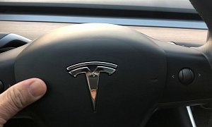 Honk the Tesla Horn, and It May Fart