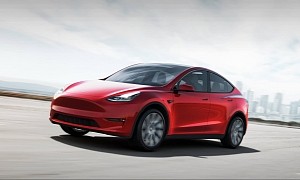 Customer Refuses Tesla Model Y on "Many" Quality Issues, Others Confirm Problems