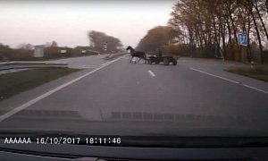 Horse Cart Crash Reveals One of Today's Worst and Most Dangerous Driving Habits