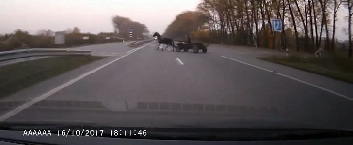 Horse carriage crash
