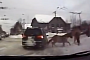Horse T-Bones SUV in Russia