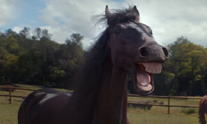 Horses Laughing Hard at Bad Trailer Parking Skills in a VW Commercial