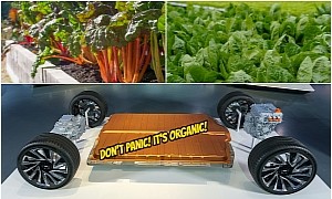 How a Compound Found in Rhubarb and Spinach Can Help Recycle EV Batteries